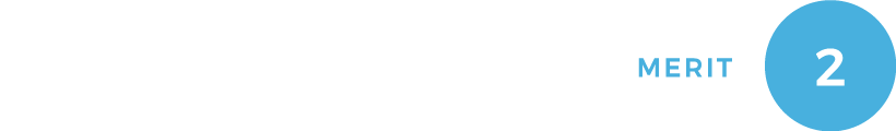 MERIT2