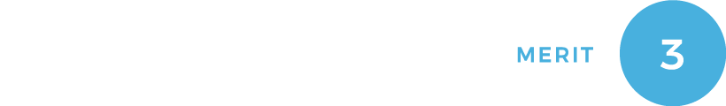 MERIT3