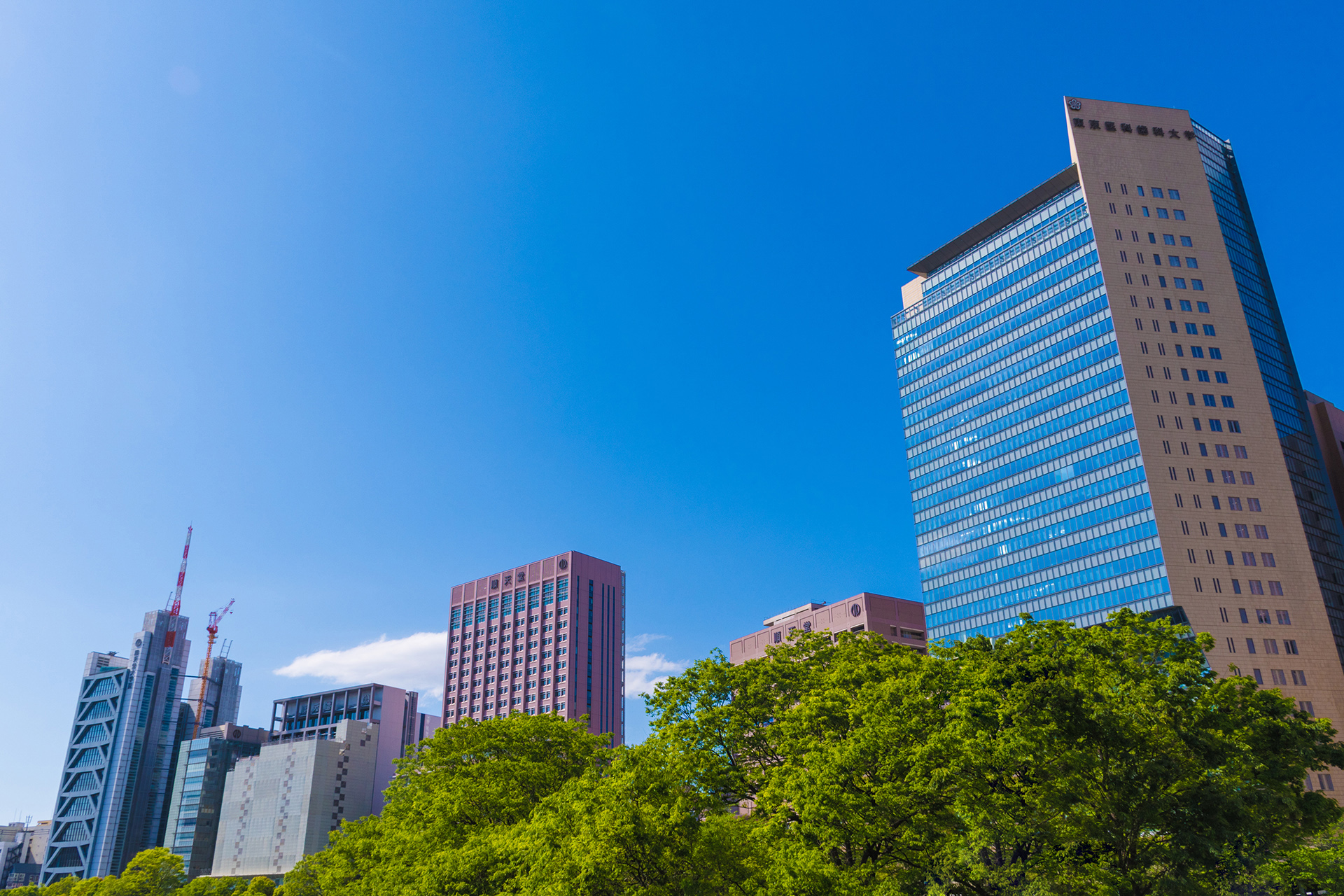 順天堂医院　電気工事